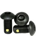 Newport Fasteners #10-24 Socket Head Cap Screw, Black Oxide Alloy Steel, 1 in Length, 100 PK 844617-100